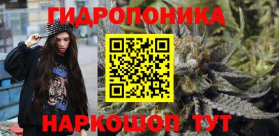 прущие крисы Гусев