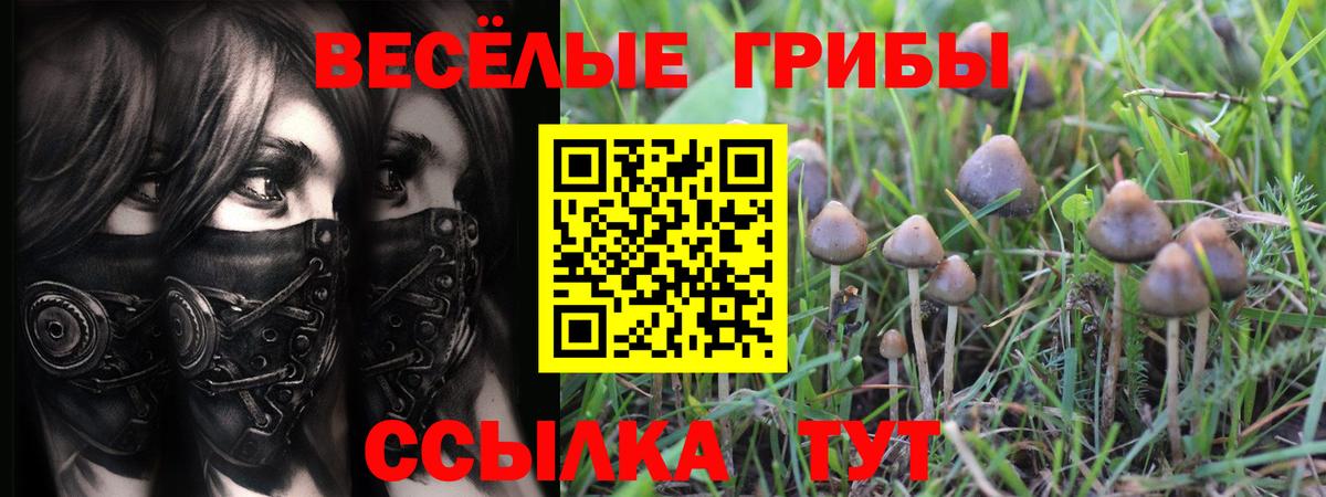 Галлюциногенные грибы ЛСД Назарово